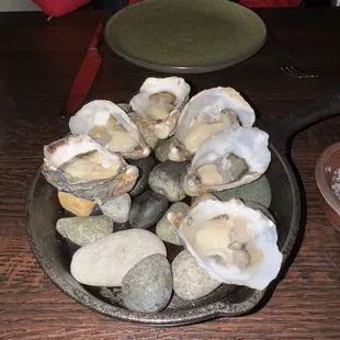 Willapa Bay Oysters