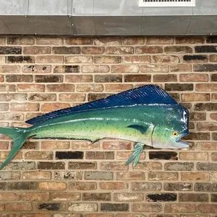 Mahi mahi