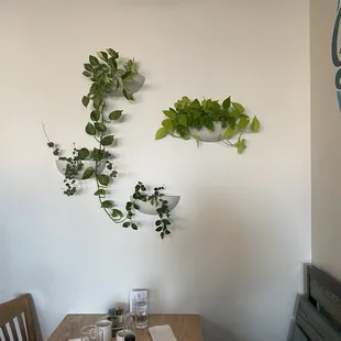 Greens Above Our Table