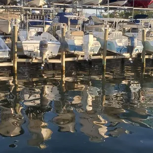 Surrounded by a marina