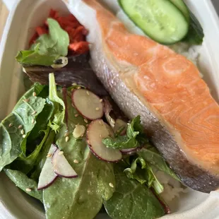 Salmon  Bento