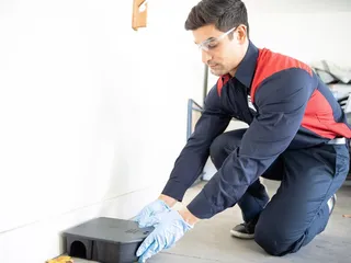 Fox Pest Control - Corpus Christi