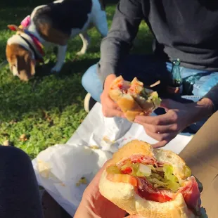 a person holding a hot dog