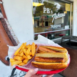  a person holding a hot dog and french fries