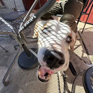 Gumdrop approved patio!