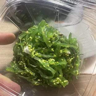 Mold on seaweed salad.