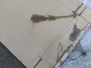 Mayeaux Quality Car Care