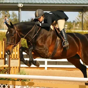 Paige&apos;s heart horse For The GoodTimes