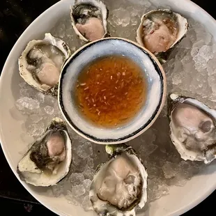 Oysters