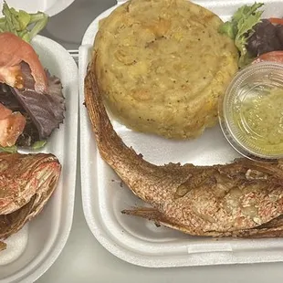 two trays of food on a table