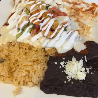 Ocean Enchiladas