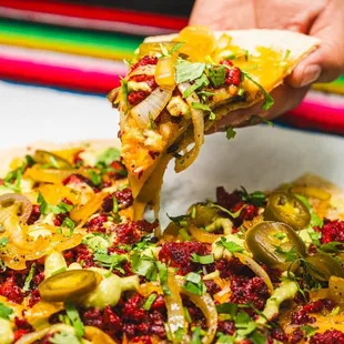 a person holding a slice of pizza