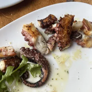 Grilled Octopus