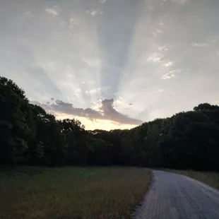 Morning glory at Pacem