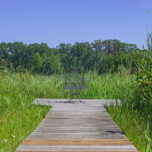 One of the boardwalks leading out to the wilderness Lake Tamarack.