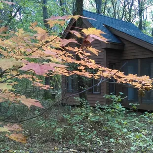 A hermitage during the fall, one of our busiest seasons of the year.