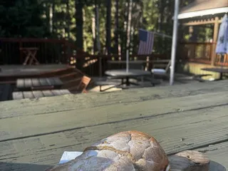 The Kyburz Lodge