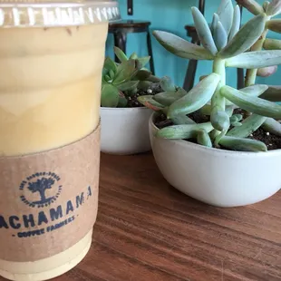 Iced Drip Coffee