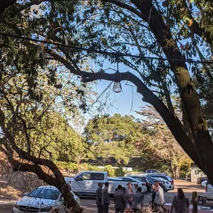 a group of people standing under a tree
