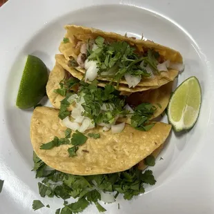 Taco de Carnitas