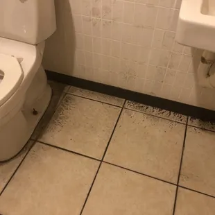 Bathroom needs major attention