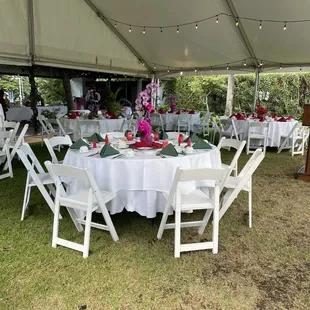 Tent near Mango's patio