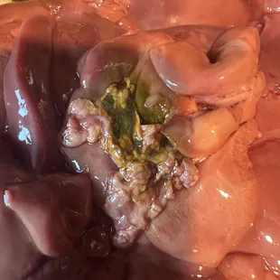 Rotten liver. Immediate verification is required