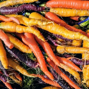 Rainbow carrots from Sound Sustainable Farm in Redmond