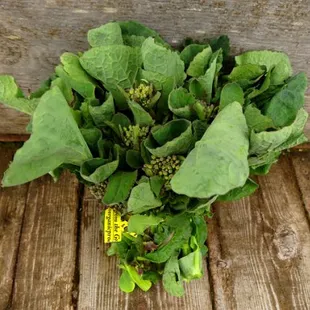 Rutabaga Raab from Nash's