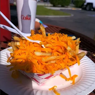 Cheese Fries