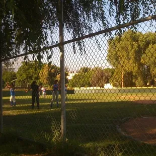 Lala s softball game