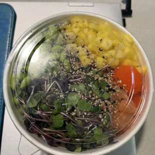 OVER THE RAINBOW BOWL