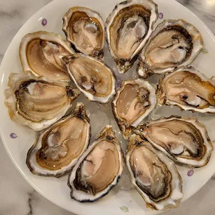Shigoku Oysters shucked at home ($1.30/piece).  Meaty, not too briny, and slightly sweet! 6/30/2022