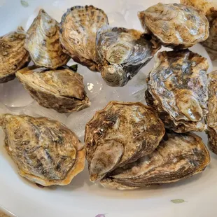 Shigoku Oyster ($1.30/piece). 6/30/2022