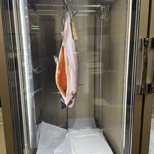 the inside of a refrigerator