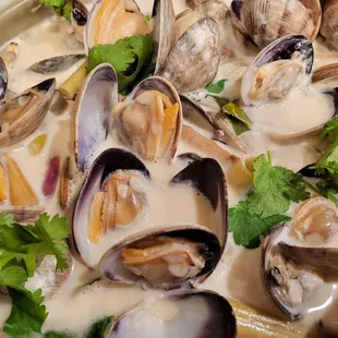 Live Manila Clams ($4.95/lbs) cooked in coconut lemongrass sauce. Every clam was plump and opened up nicely! 6/30/2022