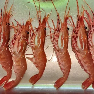 Live Amaebi ($35.95/lbs). This was pricey, but the quality was worth every penny! 6/30/2022