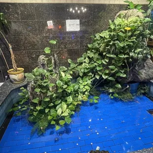 an indoor hot tub with plants growing out of it