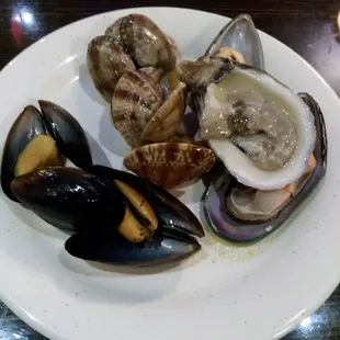 Oysters