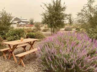 Rocky Oaks Goat Creamery