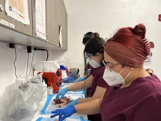 California Institute of Medical Science