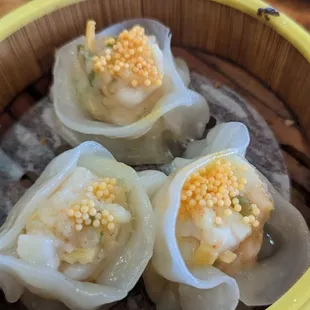 Scallop Dumplings