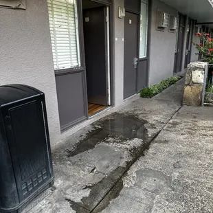 A small puddle of water outside the door from the level high enough to get over the threshold of the door.