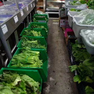 a variety of vegetables in bins