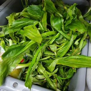 a bin full of lettuce