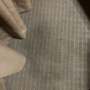 Stains on the carpet