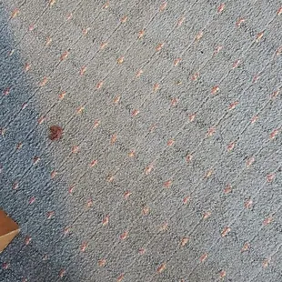 DIRTY CARPET WE ALL GOT FUNGUS FROM THIS HOTEL.