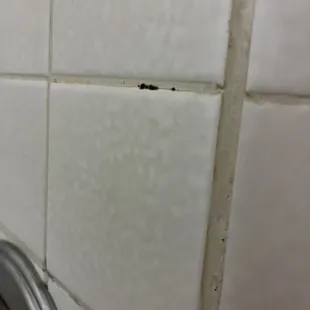 Mold in the stand alone shower