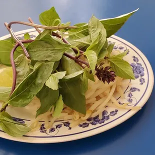 Bean Sprouts