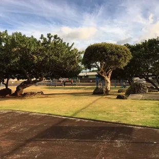 Beautiful grounds with a swing set.